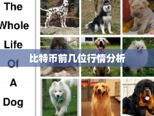 比特币前几位行情分析