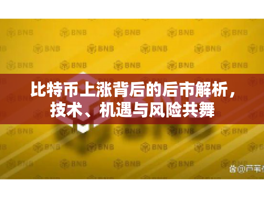 比特币上涨背后的后市解析，技术、机遇与风险共舞