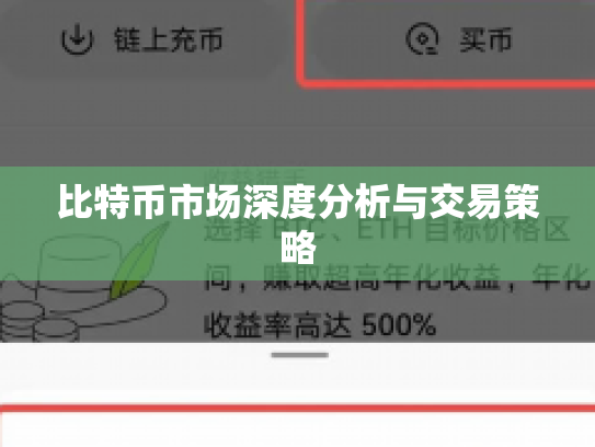 比特币市场深度分析与交易策略