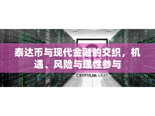 泰达币与现代金融的交织，机遇、风险与理性参与