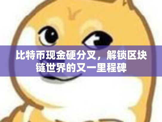 比特币现金硬分叉，解锁区块链世界的又一里程碑