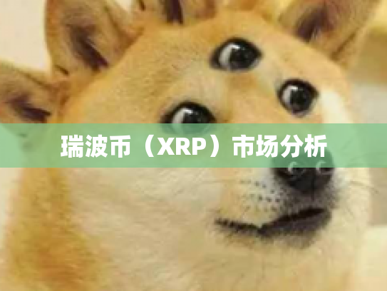 瑞波币（XRP）市场分析