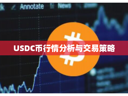 USDC币行情分析与交易策略