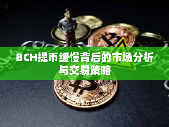 BCH提币缓慢背后的市场分析与交易策略