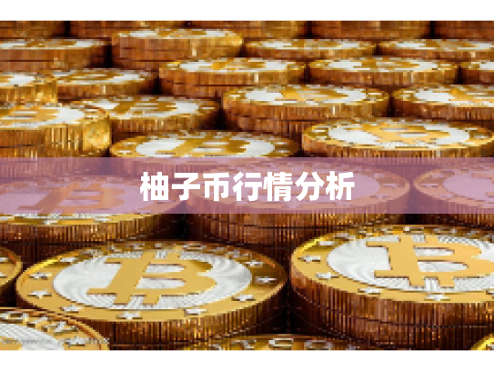 柚子币行情分析