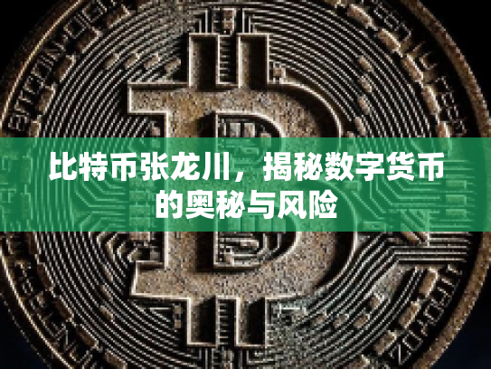 比特币张龙川，揭秘数字货币的奥秘与风险