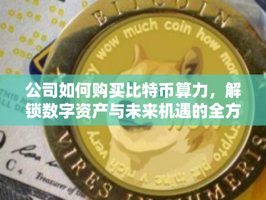 公司如何购买比特币算力，解锁数字资产与未来机遇的全方位指南