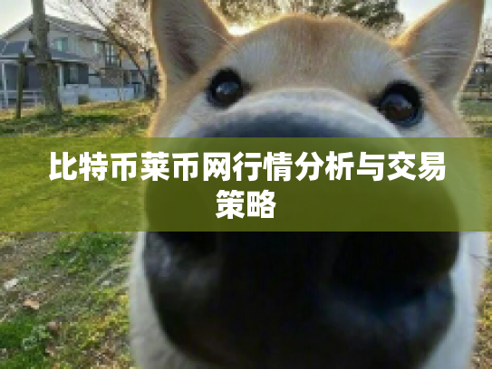 比特币莱币网行情分析与交易策略