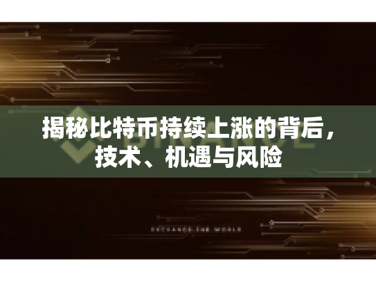 揭秘比特币持续上涨的背后，技术、机遇与风险