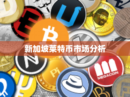 新加坡莱特币市场分析