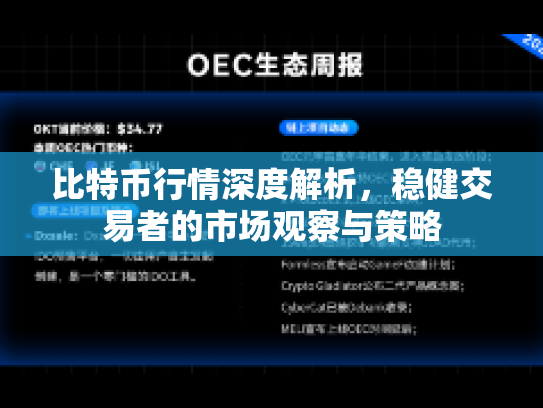 比特币行情深度解析，稳健交易者的市场观察与策略