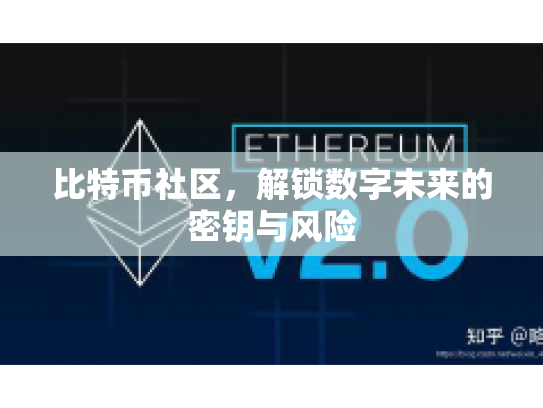 比特币社区，解锁数字未来的密钥与风险