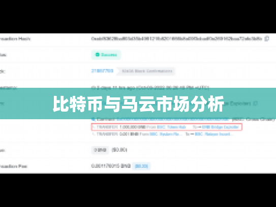 比特币与马云市场分析
