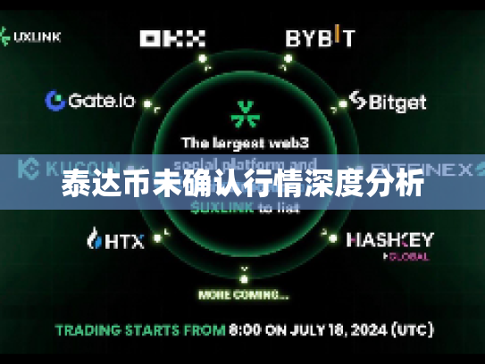 泰达币未确认行情深度分析