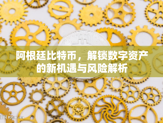 阿根廷比特币，解锁数字资产的新机遇与风险解析