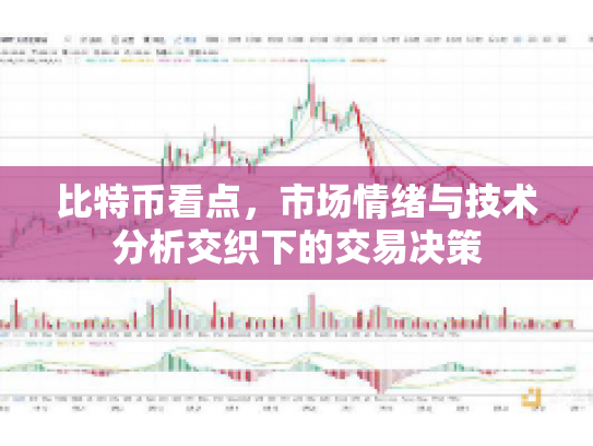 比特币看点，市场情绪与技术分析交织下的交易决策