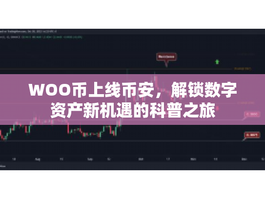 WOO币上线币安，解锁数字资产新机遇的科普之旅