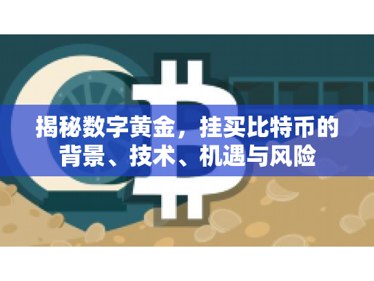 揭秘数字黄金，挂买比特币的背景、技术、机遇与风险