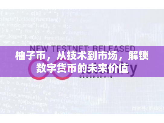 柚子币，从技术到市场，解锁数字货币的未来价值