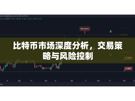 比特币市场深度分析，交易策略与风险控制