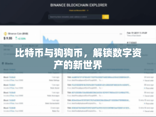 比特币与狗狗币，解锁数字资产的新世界