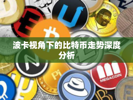 波卡视角下的比特币走势深度分析
