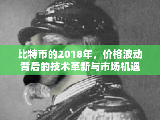 比特币的2018年，价格波动背后的技术革新与市场机遇