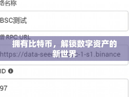 拥有比特币，解锁数字资产的新世界