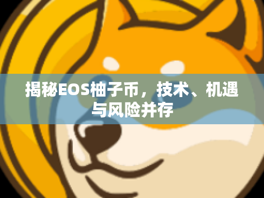 揭秘EOS柚子币，技术、机遇与风险并存