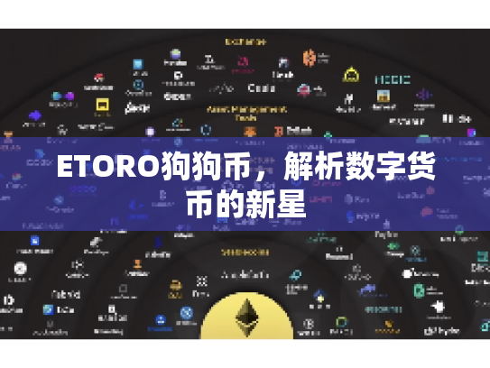 ETORO狗狗币，解析数字货币的新星