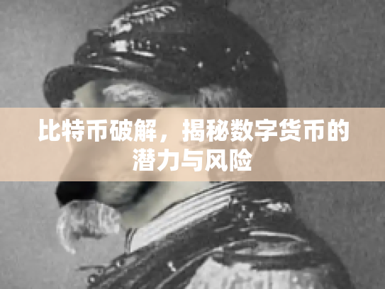 比特币破解，揭秘数字货币的潜力与风险