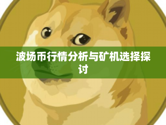 波场币行情分析与矿机选择探讨