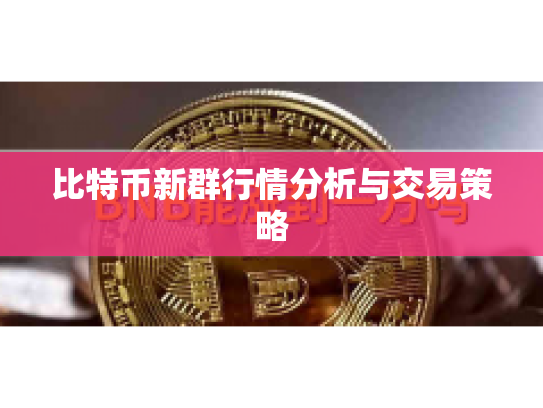 比特币新群行情分析与交易策略
