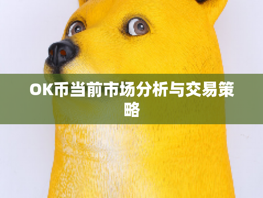 OK币当前市场分析与交易策略