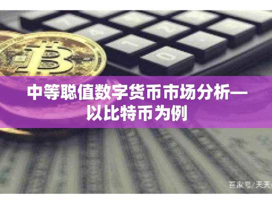 中等聪值数字货币市场分析—以比特币为例