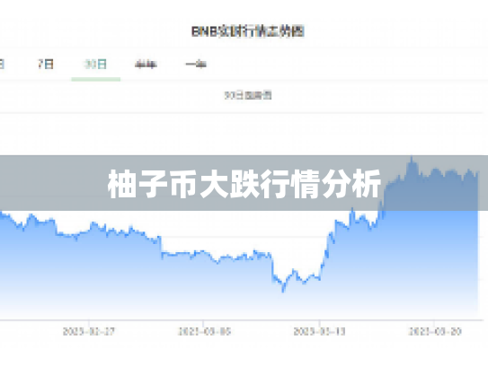 柚子币大跌行情分析