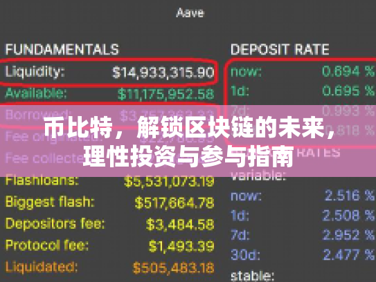 币比特，解锁区块链的未来，理性投资与参与指南