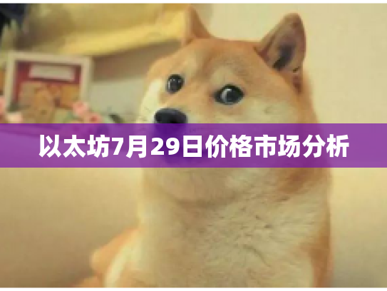 以太坊7月29日价格市场分析