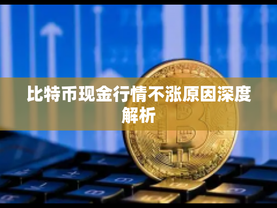 比特币现金行情不涨原因深度解析