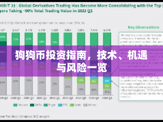 狗狗币投资指南，技术、机遇与风险一览