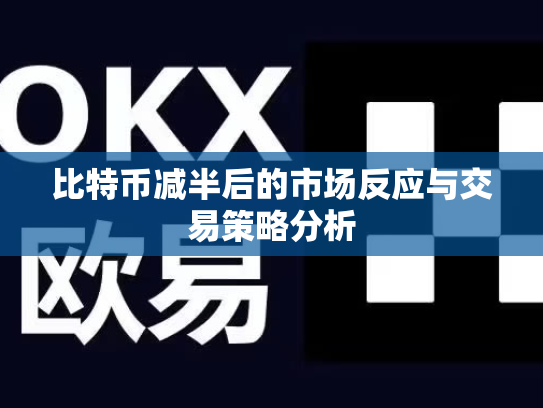 比特币减半后的市场反应与交易策略分析