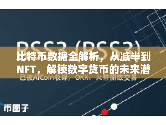比特币数据全解析，从减半到NFT，解锁数字货币的未来潜力