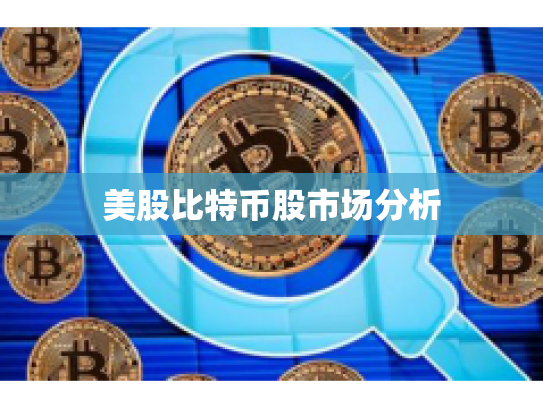 美股比特币股市场分析