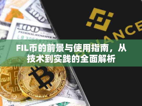 FIL币的前景与使用指南，从技术到实践的全面解析