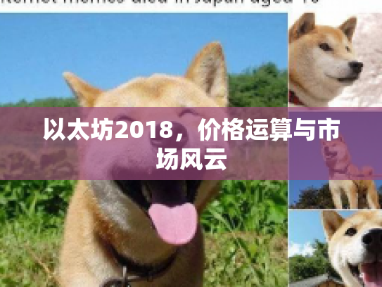 以太坊2018，价格运算与市场风云