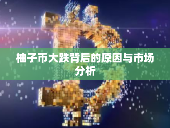 柚子币大跌背后的原因与市场分析