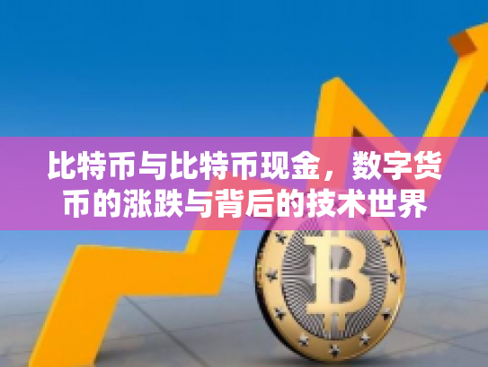 比特币与比特币现金，数字货币的涨跌与背后的技术世界