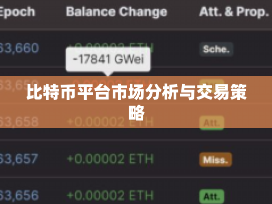 比特币平台市场分析与交易策略