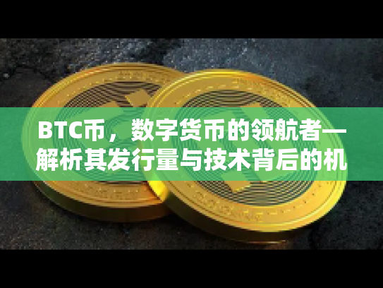 BTC币，数字货币的领航者—解析其发行量与技术背后的机遇与风险