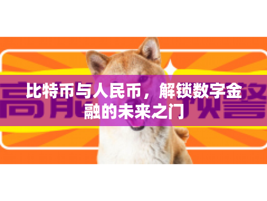 比特币与人民币，解锁数字金融的未来之门